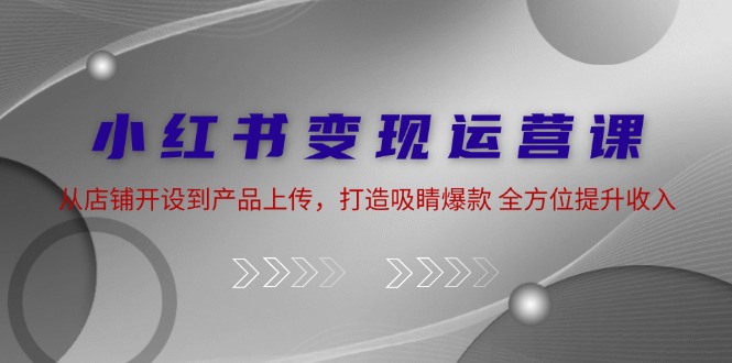 （12520期）小红书变现运营课：从店铺开设到产品上传，打造吸睛爆款 全方位提升收入_生财有道创业网-生财有道