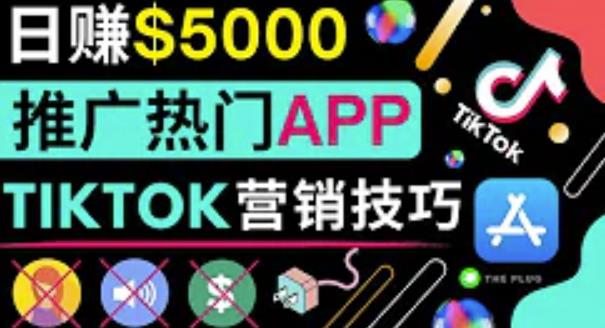 无需露脸，无需录音，无需投资，轻松上传短视频，利用TIKTOK赚钱，最高日入5000美元-生财有道