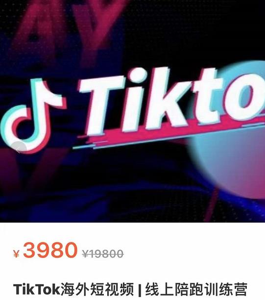 TikTok海外抖音短视频线上陪跑训练营，玩赚Tiktok少走弯路-生财有道