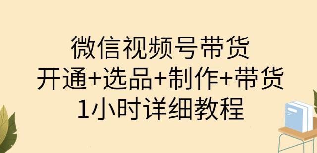 陈奶爸·微信视频号带货：开通+选品+制作+带货（1小时详细教程）-生财有道