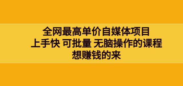 网最单高价自媒体项目：上手快可批量无脑操作的课程，想赚钱的来-生财有道