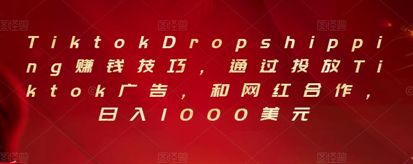 Tiktok Dropshipping赚钱技巧，通过投放Tiktok广告，和网红合作，日入1000美元-生财有道