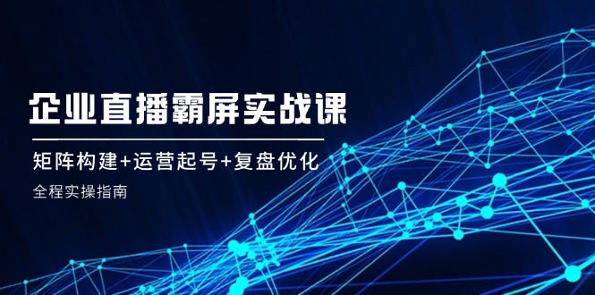 企业直播霸屏实战课：矩阵构建+运营起号+复盘优化，全程实操指南-生财有道