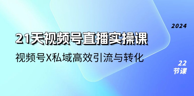 21天视频号直播实操课，视频号X私域高效引流与转化（22节课）-生财有道