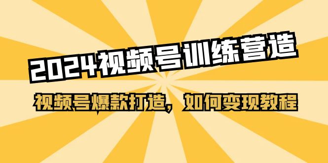 2024视频号训练营，视频号爆款打造，如何变现教程（20节课）-生财有道