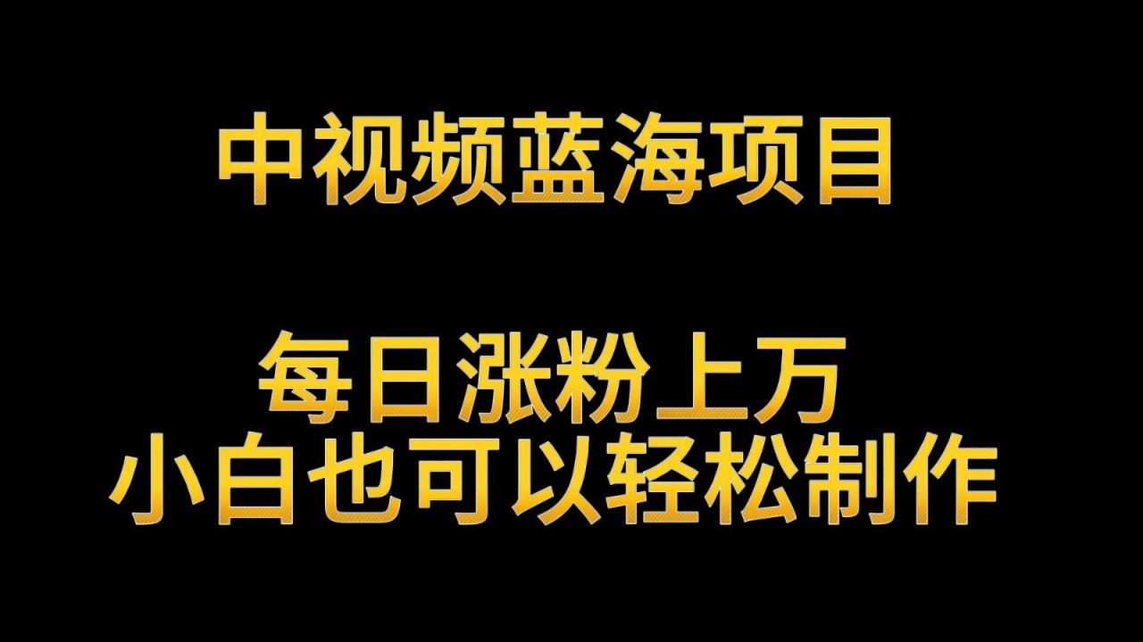 中视频蓝海项目，解读英雄人物生平，每日涨粉上万，小白也可以轻松制作，月入过万-生财有道