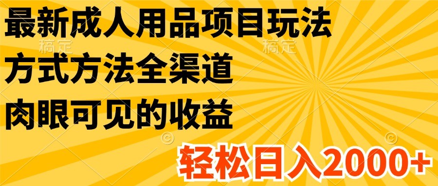 最新成人用品项目玩法，方式方法全渠道，肉眼可见的收益，轻松日入2000+-生财有道