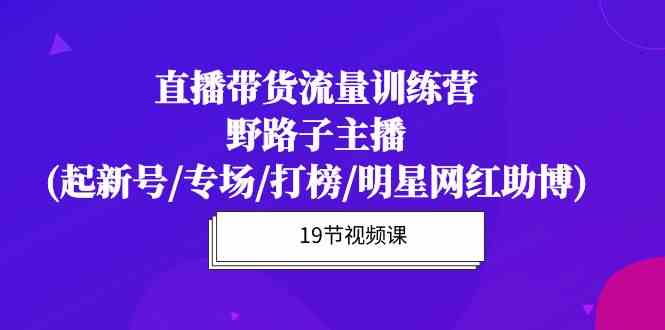 直播带货流量特训营，野路子主播(起新号/专场/打榜/明星网红助博)-生财有道