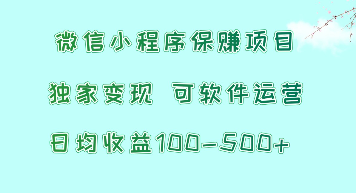 微信小程序保赚项目，日均收益100~500+，独家变现，可软件运营-生财有道