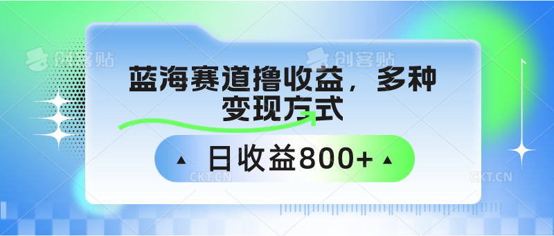 蓝海赛道撸收益，多种变现方式，日收益800+-生财有道