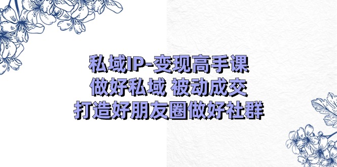 私域IP变现高手课：做好私域被动成交，打造好朋友圈做好社群（18节）-生财有道