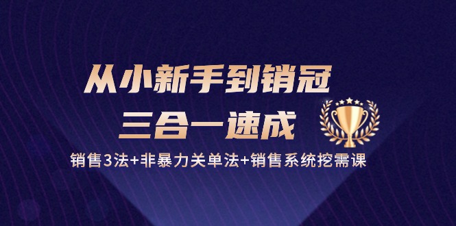 从小新手到销冠三合一速成：销售3法+非暴力关单法+销售系统挖需课 (27节)-生财有道