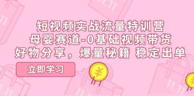 短视频实战流量特训营，母婴赛道-0基础带货，好物分享，爆量秘籍 稳定出单-生财有道