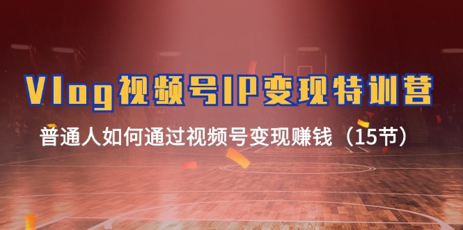 Vlog视频号IP变现特训营，普通人如何通过视频号变现赚钱（15节）-生财有道