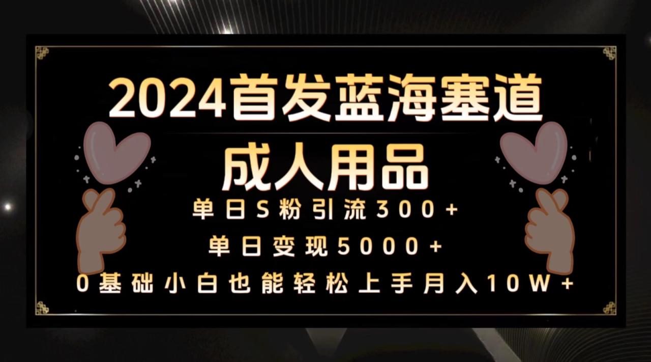 2024首发蓝海塞道成人用品，月入10W+保姆教程-生财有道