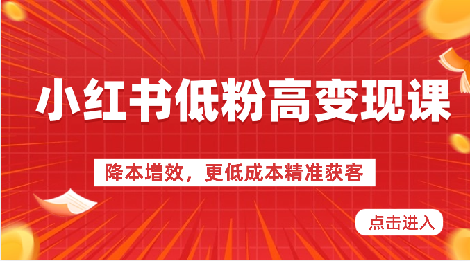 小红书低粉高变现课-降本增效，更低成本精准获客，小红书必爆的流量密码-生财有道