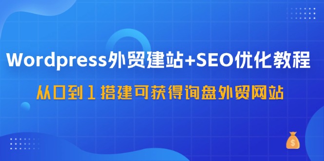 WordPress外贸建站+SEO优化教程，从0到1搭建可获得询盘外贸网站（57节课）-生财有道