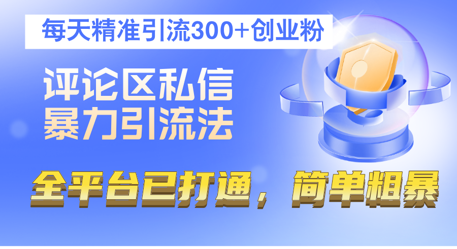 （12714期）评论区私信暴力引流法，每天精准引流300+创业粉，全平台已打通，简单粗暴_生财有道创业网-生财有道