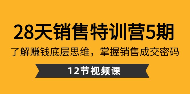 28天销售特训营5期：了解赚钱底层思维，掌握销售成交密码（12节课）-生财有道