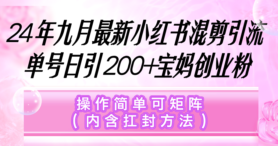 （12530期）小红书混剪引流，单号日引200+宝妈创业粉，操作简单可矩阵（内含扛封…_生财有道创业网-生财有道