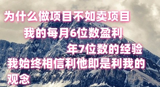 做项目不如卖项目，每月6位数盈利，年7位数经验-生财有道