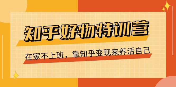 知乎好物特训营，在家不上班，靠知乎变现来养活自己（16节）-生财有道