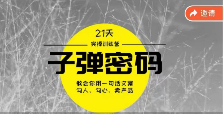 《子弹密码训练营》-用一句话文案勾人勾心卖产品，21天学到顶尖文案大师策略和技巧-生财有道