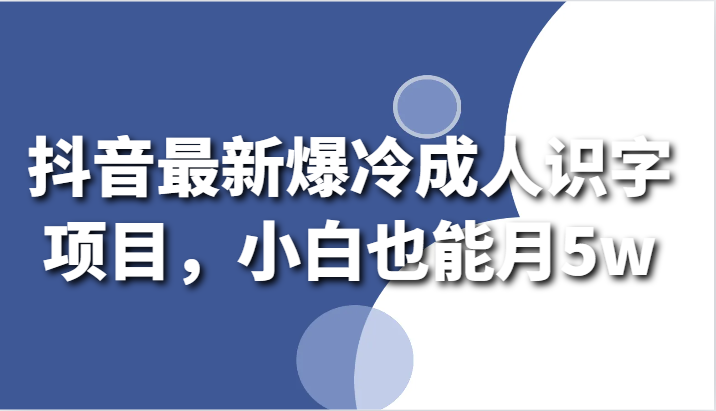 抖音最新爆冷成人识字项目，小白也能月5w-生财有道