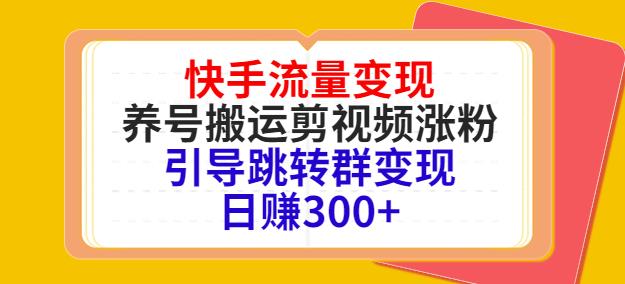 快手流量变现，养号搬运剪视频涨粉，引导跳转群变现日赚300+-生财有道