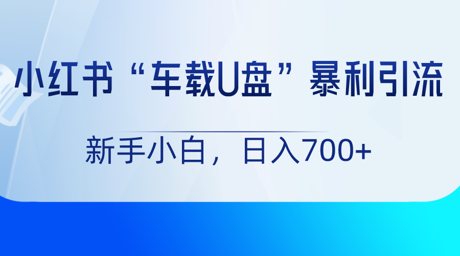 小红书“车载U盘”项目，暴利引流，新手小白轻松日入700+-生财有道