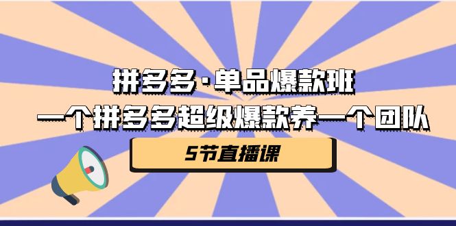 （7019期）拼多多·单品爆款班，一个拼多多超级爆款养一个团队（5节直播课）-生财有道