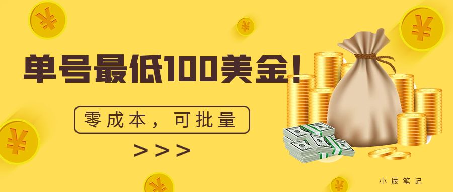 （6975期）单号最低100美金，零成本，小白无脑操作。可复制，可扩大。-生财有道