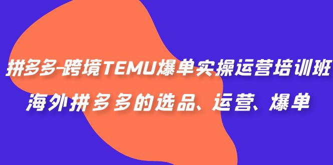 （6934期）拼多多-跨境TEMU爆单实操运营培训班，海外拼多多的选品、运营、爆单-生财有道