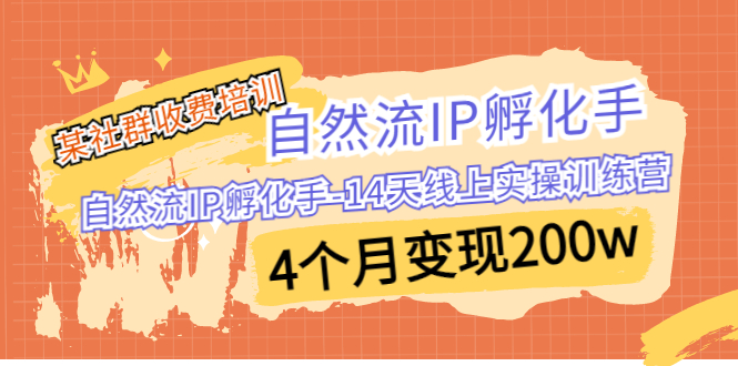 （6924期）某社群收费培训：自然流IP 孵化手-14天线上实操训练营 4个月变现200w-生财有道