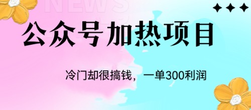 （6916期）冷门公众号加热项目，一单利润300+-生财有道
