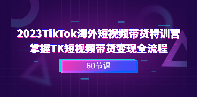 （6890期）2023-TikTok海外短视频带货特训营，掌握TK短视频带货变现全流程（60节课）-生财有道