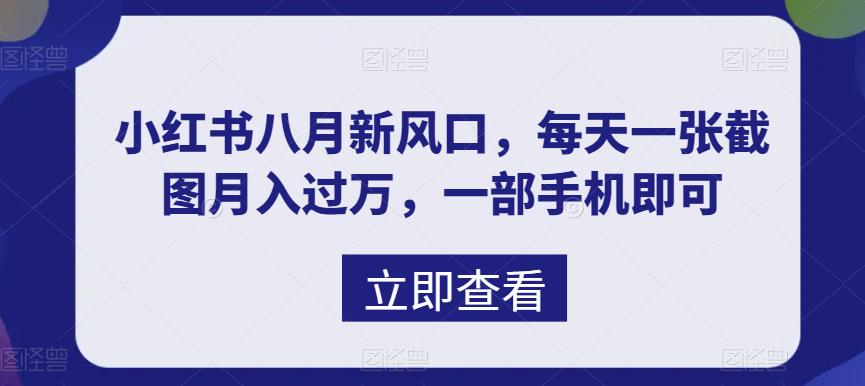 （6851期）八月新风口，小红书虚拟项目一天收入1000+，实战揭秘-生财有道