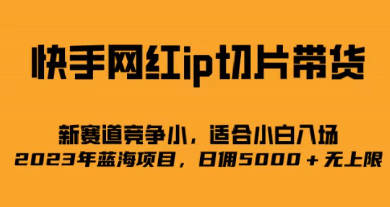 （6832期）快手网红ip切片新赛道，竞争小事，适合小白  2023蓝海项目-生财有道