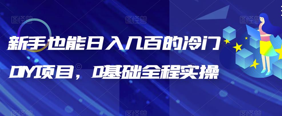 （6630期）新手也能日入几百的冷门DIY项目，0基础全程实操【揭秘】-生财有道
