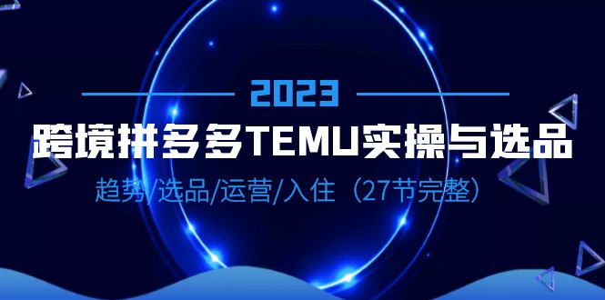 （6550期）2023跨境·拼多多·TEMU实操与选品，趋势·选品·运营·入住（27节完整）-生财有道
