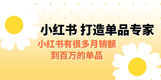 （6541期）某公众号付费文章《小红书 打造单品专家》小红书有很多月销额到百万的单品-生财有道
