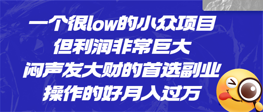 （6601期）一个很low的小众项目，但利润非常巨大，闷声发大财的首选副业，月入过万-生财有道
