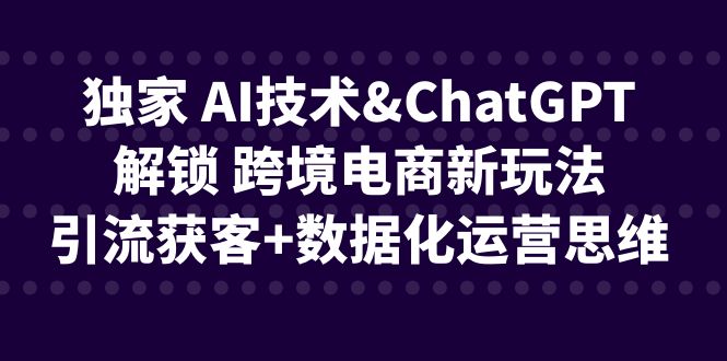 （6599期）独家 AI技术&ChatGPT解锁 跨境电商新玩法，引流获客+数据化运营思维-生财有道