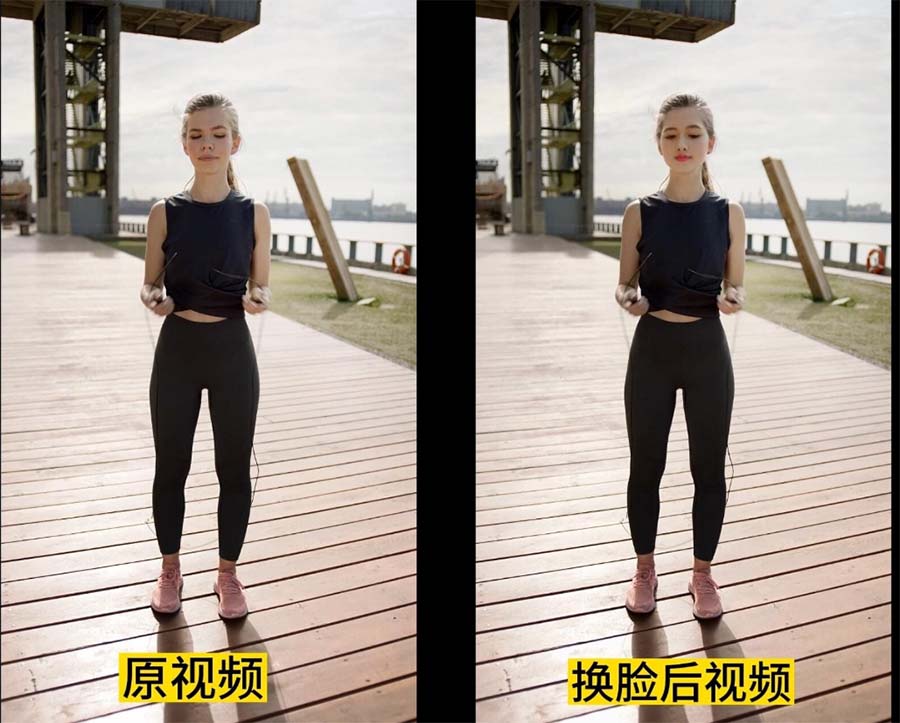（6507期）AI换脸替换工具离线版V1.2+保姆级视频教程（一键操作，小白一看就会）-生财有道