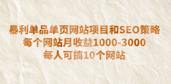 （6503期）暴利单品单页网站项目和SEO策略  每个网站月收益1000-3000  每人可搞10个-生财有道