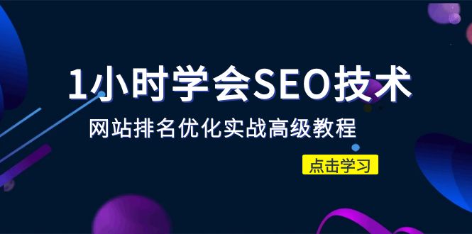 （6501期）1小时学会SEO技术 网站排名优化实战高级教程-秒杀市面95%收费几千的SEO教程-生财有道
