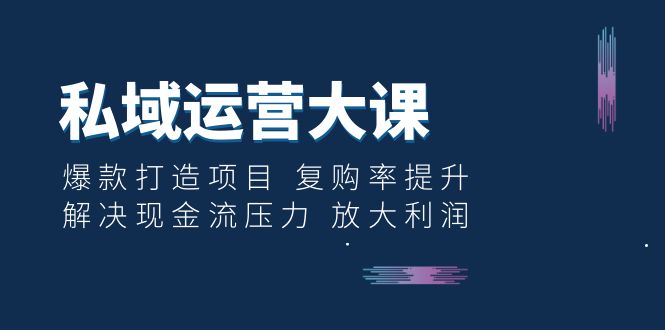 （6456期）私域运营大课：爆款打造项目 复购率提升 解决现金流压力 放大利润-生财有道