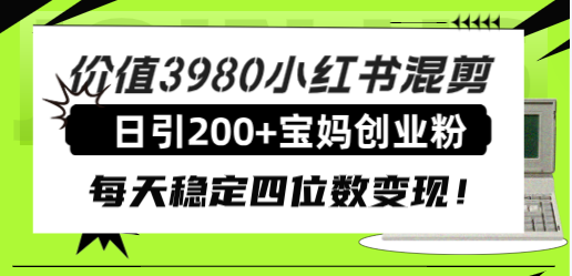 （7893期）价值3980小红书混剪日引200+宝妈创业粉，每天稳定四位数变现！-生财有道