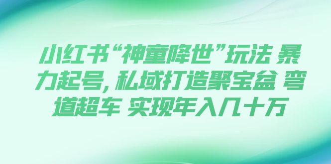 （7673期）小红书“神童降世”玩法 暴力起号,私域打造聚宝盆 弯道超车 实现年入几十万-生财有道