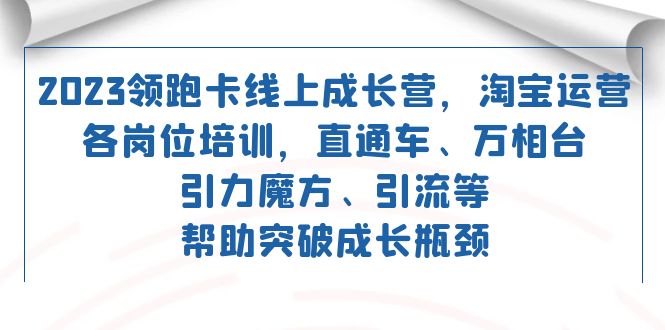 （7462期）2023领跑·卡 线上成长营 淘宝运营各岗位培训 直通车 万相台 引力魔方 引流-生财有道